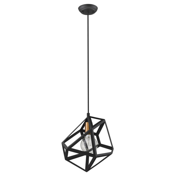 Hedron Pendant by Acclaim Lighting