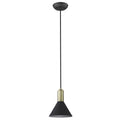 Ingo Pendant by Acclaim Lighting