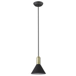 Acclaim Lighting-TP30101BK|MAIN