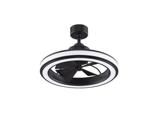 Gleam Outdoor (Damp) Ceiling Fan with Light by Fanimation