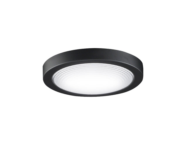 Spitfire Outdoor (Damp) Fan Light Kit by Fanimation