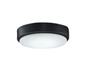 Fanimation - LK7912BBL - One Light Fan Light Kit - Levon Custom - Black from Lighting & Bulbs Unlimited in Charlotte, NC