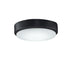 Fanimation - LK7912BBL - One Light Fan Light Kit - Levon Custom - Black from Lighting & Bulbs Unlimited in Charlotte, NC