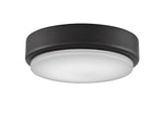 Fanimation-LK7912BDZ|MAIN