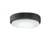 Fanimation - LK7912BGR - One Light Fan Light Kit - Levon Custom - Matte Greige from Lighting & Bulbs Unlimited in Charlotte, NC