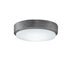 Fanimation - LK7912BGZ - One Light Fan Light Kit - Levon Custom - Galvanized from Lighting & Bulbs Unlimited in Charlotte, NC