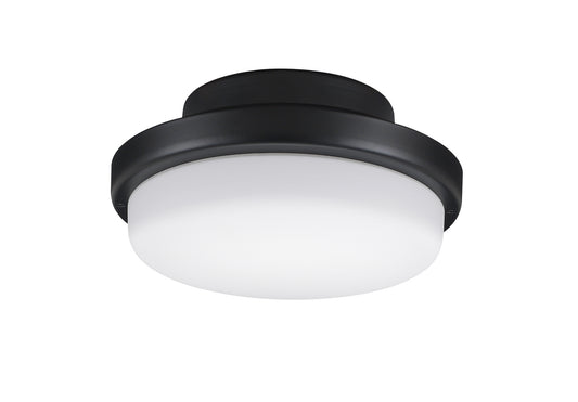 Fanimation-LK8514BLW|MAIN