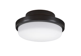 Buy dark-bronze-with-opal-frosted-glass TriAire Custom Outdoor (Wet) Fan Light Kit by Fanimation