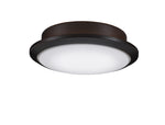 Fanimation-LK8530DZ|MAIN