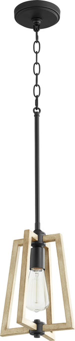 Quorum-3189-69|MAIN