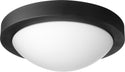 Contempo Ceiling Mounts Outdoor (Damp) Sconce by Quorum