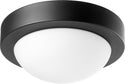 Contempo Ceiling Mounts Outdoor (Damp) Sconce by Quorum