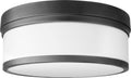 Celeste Outdoor (Damp) Ceiling Mount Light by Quorum