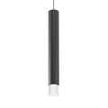 ALC Outdoor (Damp) Pendant by Sonneman