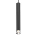 ALC Outdoor (Damp) Pendant by Sonneman