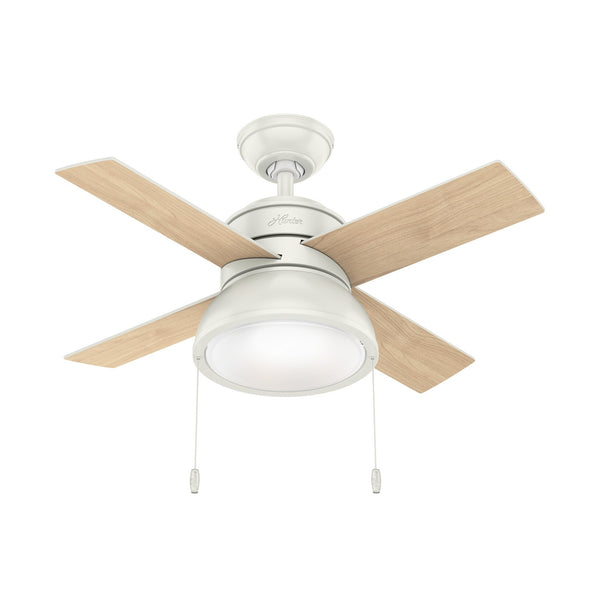 Loki Ceiling Fan with Light by Hunter
