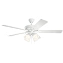 Basics Pro Premier Ceiling Fan with Light by Kichler