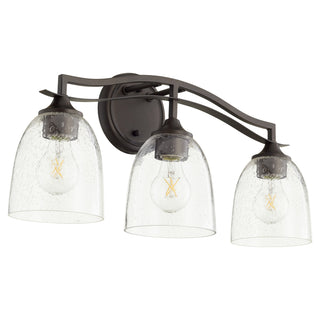 Buy oiled-bronze-with-clear-seeded-glass Jardin Vanity by Quorum