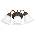 Lighting Series Outdoor (Damp) Sconce by Quorum