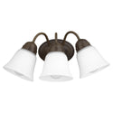 Lighting Series Outdoor (Damp) Sconce by Quorum