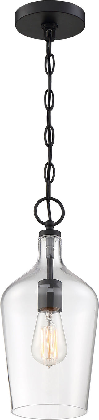 Buy matte-black-clear-glass Hartley Pendant by Nuvo Lighting