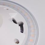 Nuvo Lighting-62-792R1|ALT|6