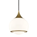 Reese Outdoor (Damp) Pendant by Mitzi