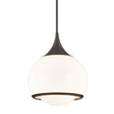 Reese Outdoor (Damp) Pendant by Mitzi