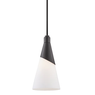 Parker Outdoor (Damp) Pendant by Mitzi
