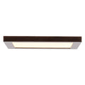 Boxer Outdoor (Damp) Flush Mount Ceiling Light by Access