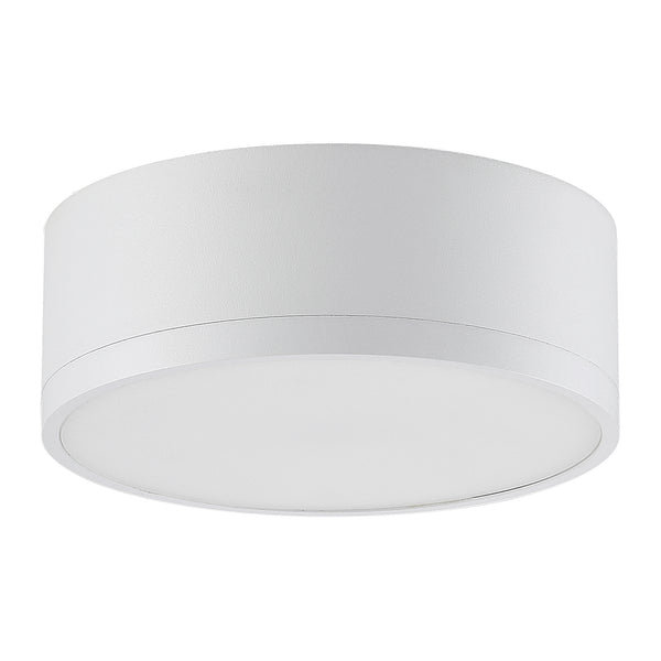 Beat Outdoor (Damp) Flush Mount Ceiling Light by Access