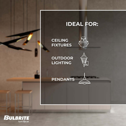 Antique 60 Watt E26 Medium WB 120V Incandescent 2200k Light Bulb by Bulbrite