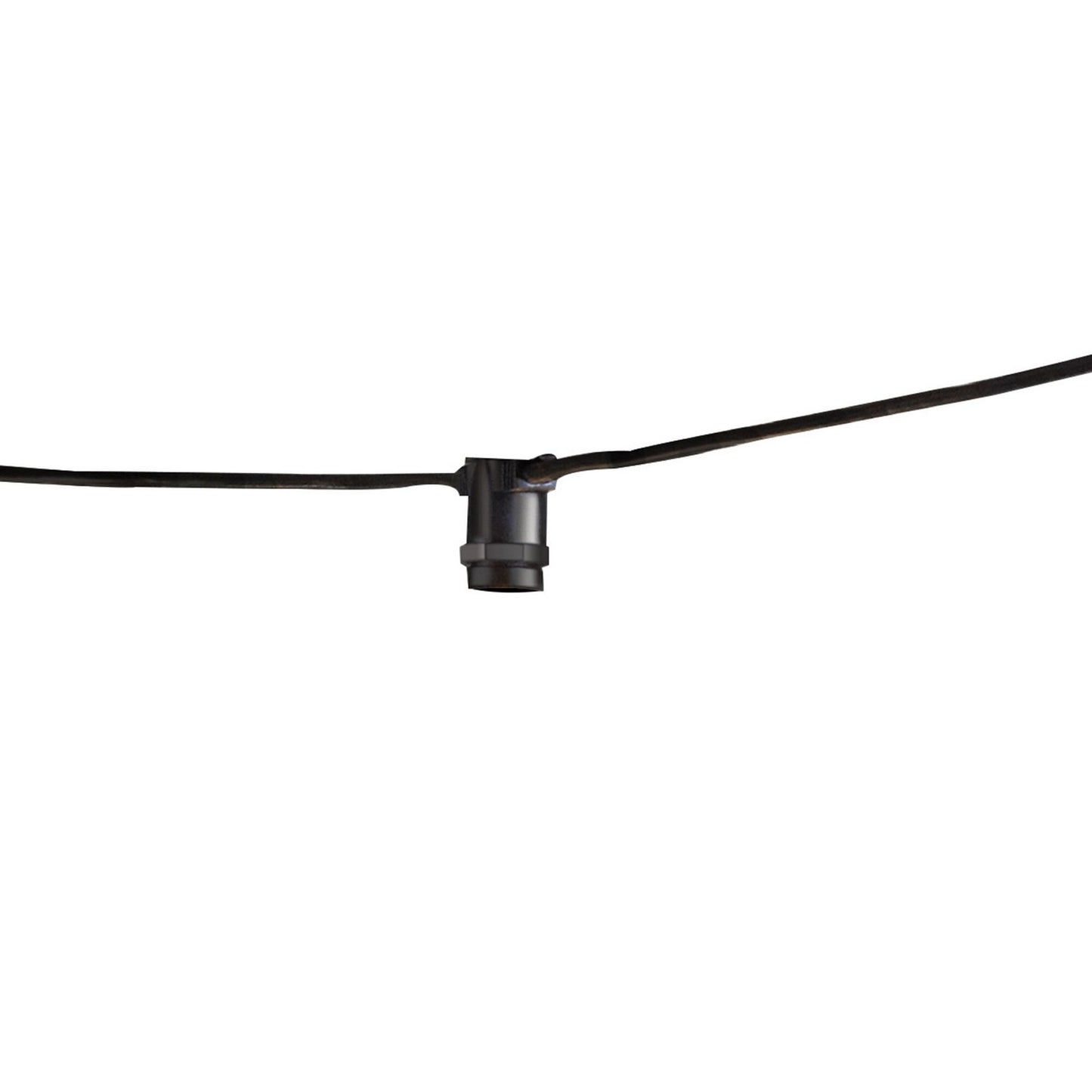Bulbrite-810056|MAIN