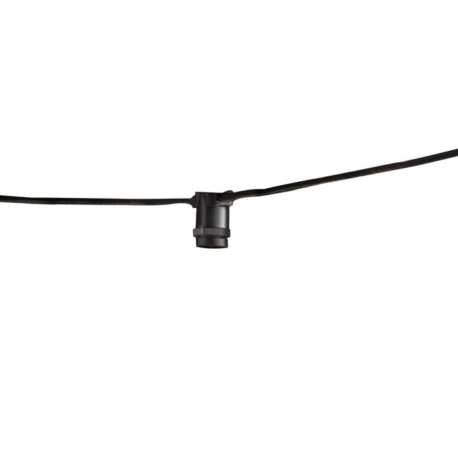 Bulbrite-810056|MAIN