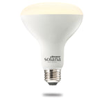 Bulbrite-196110|MAIN