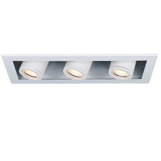 Buy white-white Die-cast aluminum head with rotatable front face. Steel housing and trim. LED Multiples Accessory by W.A.C. Lighting