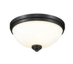 Z-Lite-443F3-MB|MAIN