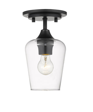 Buy matte-black-with-clear-glass-and-clear-shade Joliet Flush Mount Ceiling Light by Z-Lite
