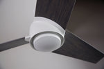 Modern Fan Co Ambit DC 56" Ceiling Fan - Damp Rated - photo (AMB-MW-56-GY-NL-1310-M.jpg) [Modern Fan Co-AMB-MW-56-MW-NL-WC|CUSTOM|5]