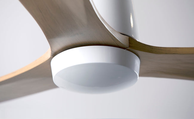 Modern Fan Co Arbor DC 54" Flush Mount Ceiling Fan - Damp Rated - photo (ARB-FM-GW-MP-0562.jpg) [Modern Fan Co-ARB-FM-GW-54-EB-NL-WC|CUSTOM|1]