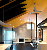 Modern Fan Co Altus 52" Ceiling Fan - Damp Rated - photo (Altus_226A.jpg) [Modern Fan Co-ALT-GW-52-WH-NL-001|CUSTOM|7]