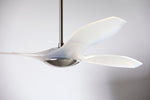 Modern Fan Co IC/Brisa DC 56" Ceiling Fan - Damp Rated - photo (BRI-BNTL-56-NL-1129-M-RE.jpg) [Modern Fan Co-BRI-MW-56-NL-WC|CUSTOM|2]