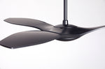 Modern Fan Co IC/Brisa DC 56" Ceiling Fan - Damp Rated - photo (BRI-MB-56-NL-1052-M.jpg) [Modern Fan Co-BRI-MW-56-NL-WC|CUSTOM|15]