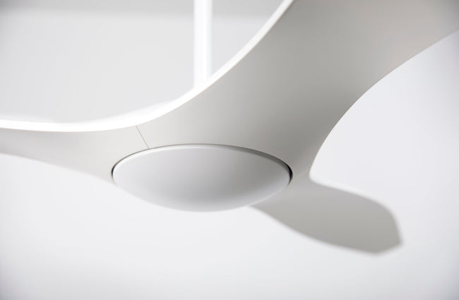 Modern Fan Co IC/Brisa DC 56" Ceiling Fan - Damp Rated - photo (BRI-MW-56-NL-0949-M.jpg) [Modern Fan Co-BRI-MW-56-NL-WC|CUSTOM|20]