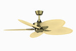 Fanimation FP7500AB Windpointe 52" Ceiling Fan, Antique Brass: alternate product photo [Fanimation-FP7500AB|CUSTOM|1]
