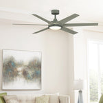 Fanimation FPD6605AGP Brawn 64" Ceiling Fan, Antique Graphite: shown in a room setting [Fanimation-FPD6605AGP|CUSTOM|1]