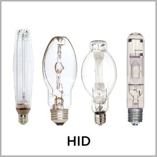 HID Bulbs