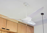 Modern Fan Co IC/Air3 DC 56" Ceiling Fan - Damp Rated - photo (IC_Air3_146C.jpg) [Modern Fan Co-IC3-GW-56-WH-NL-WC|CUSTOM|2]