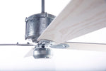 Modern Fan Co Industry DC 50" Ceiling Fan - Damp Rated - photo (Industry_Gallery_7485.jpg) [Modern Fan Co-IND-GV-50-WH-NL-WC|CUSTOM|10]