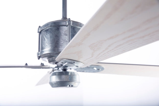 Modern Fan Co Industry DC 50" Ceiling Fan - Damp Rated - photo (Industry_Gallery_7485.jpg) [Modern Fan Co-IND-GV-50-WH-NL-WC|CUSTOM|10]